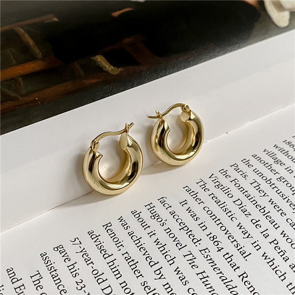 Stainless Steel Circle Hoop Earrings